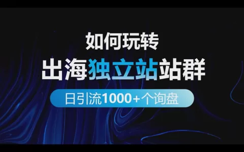 如何玩转出海独立站站群做到每日引流1000+个出海业务询盘