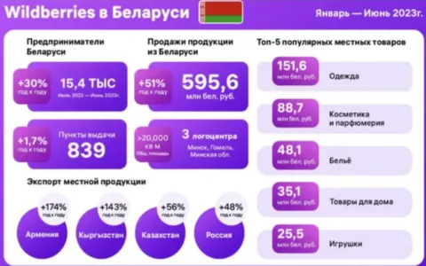 Wildberries销售额暴涨51%，电商发展按下加速键