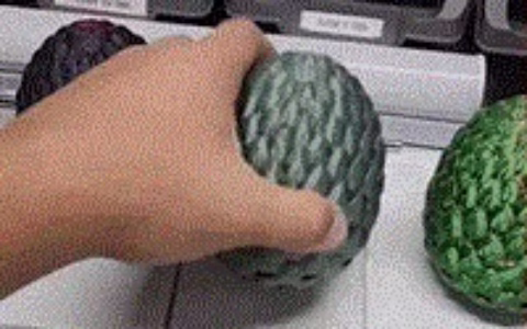 单日破万单，3D玩具美区走红！TikTok Shop美国小店(3.4-3.10)新榜