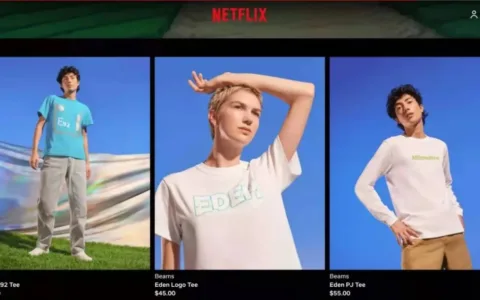 自建衍生品电商，Netflix的第二曲线？