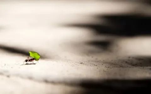 真不是钱的事？这四点，才是中小游戏厂商“心腹大患”