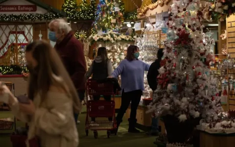 美国今年假日季在线消费同比增49％ 占零售总额近1/5