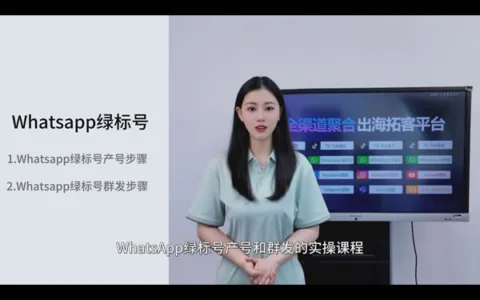 WhatsApp无限生产绿标号、群发5000-30000条陌生私信