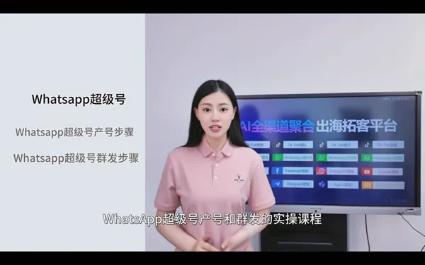 WhatsApp无线生产超级号、每日群发数百条陌生消息