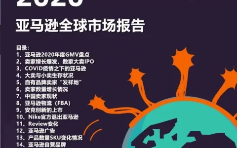 重磅发布！2020亚马逊全球市场报告