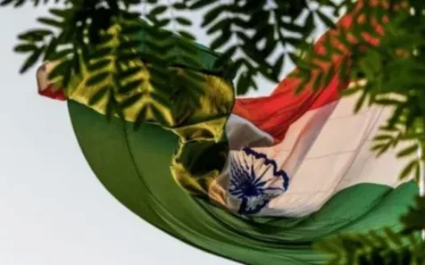 印度对非本地电子商务运营商征收2%的数字交易平衡税