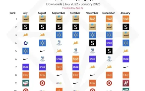 荣登榜首，Temu做对了什么？