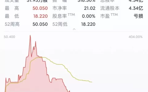 阿里投资的电商公司上市了