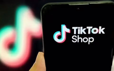 这几类产品爆卖！TikTok Shop东南亚2月新榜