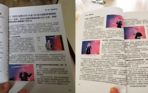 好书推荐：与百位出海大厂CEO对话，来听扬帆《出海年鉴》背后的故事