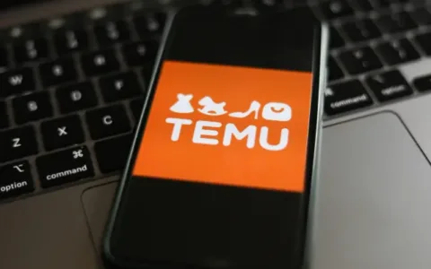 Temu在家门口“吃瘪”？卷不过日本百元店？