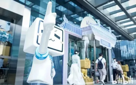 挑战Youtube，B站跑多快才够？