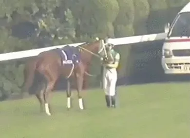 新品观察|利润翻5倍！二次元手游《赛马娘》凭什么横扫日本市场？