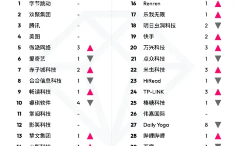 2022 年 12 月中国非游戏厂商及应用出海收入 30 强