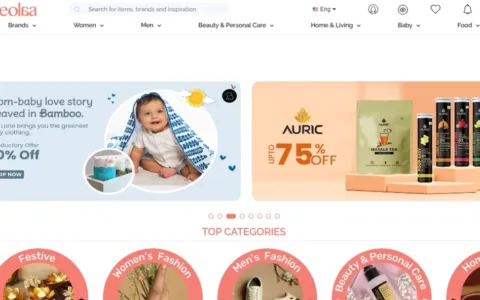 印度电商市场惊现黑马，已获得200万美元融资