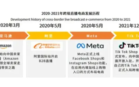 罗永浩杀向海外 TT直播内卷之路开启？