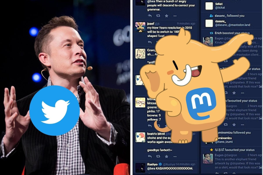 下载量暴增657%！被马斯克逼走的推特用户涌向这一社交平台