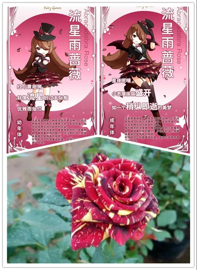 新游观察丨《精灵之境》日本上线勇夺游戏榜Top3 治愈之风能否再掀“她”游戏浪潮