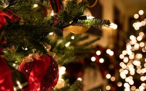 上班摸鱼选圣诞礼物！墨西哥人将在圣诞前一周挑好礼物！