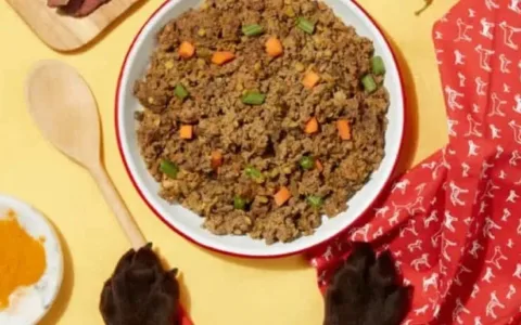 单笔融资25亿！这个独立站如何靠"狗粮"超车崛起？