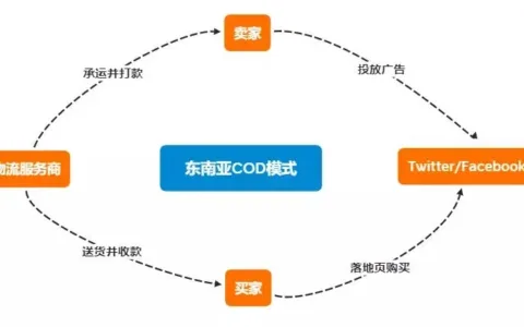COD签收率低、海外仓收“保护费”？东南亚物流竟是……