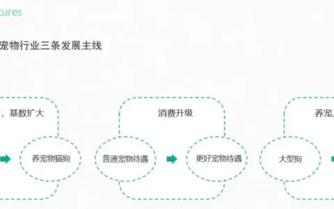 牵狗绳创收千万美金！WILD ONE如何打造网红宠物品牌？