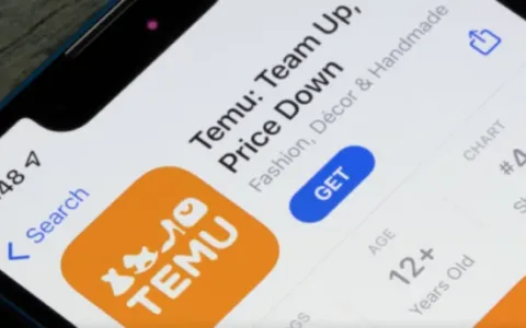 TEMU成了拼多多“最靓的仔”