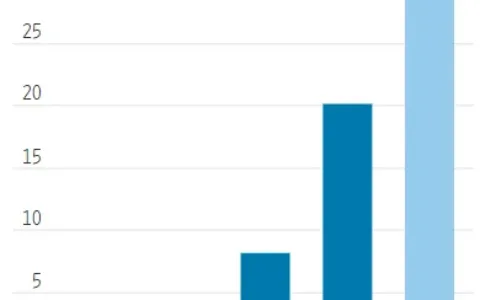 每生产100件就能卖出98件！2022年SHEIN营收或超240亿美元