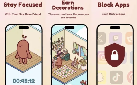 上线30天登上多国应用总榜Top1，美国工具界的“新顶流”竟是一颗“豆豆”