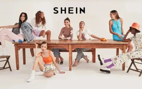 Shein统计数据一览