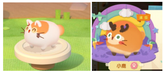 研发3年，从H5游戏起步，他们想做萌宠赛道中的精品