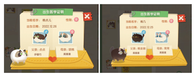 研发3年，从H5游戏起步，他们想做萌宠赛道中的精品