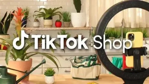 卖出3.46万件，安克创新类目霸榜！TikTok Shop美国小店(11.20-11.26)新榜来了