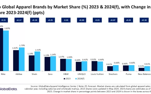 产业带出海新品牌发威，有企业创立次年就年销过亿