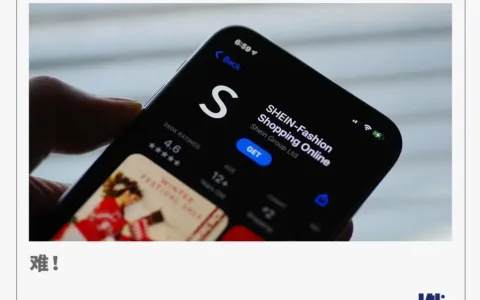 SHEIN拿什么做“亚马逊”？