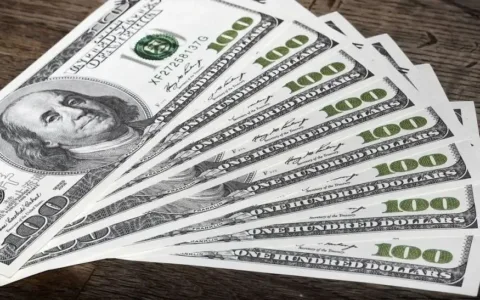 钱“兔”似锦！亚马逊美国站最赚钱的5大类别值得关注