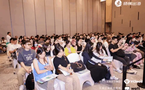 从"产品输出"到"文化共鸣"、差异与机遇并存，东南亚市场如何成为下一代掘金热土？