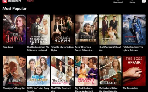 ReelShort警示：短剧出海能否守住原创底线？