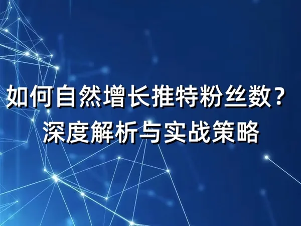 如何自然增长推特粉丝数？深度解析与实战策略