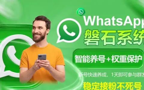 WhatsApp API群发合规之道：BSP服务商选择与协议群发技术深度剖析