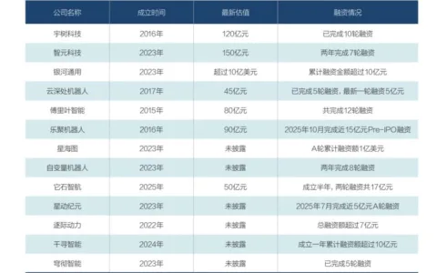 具身智能，踉跄起步