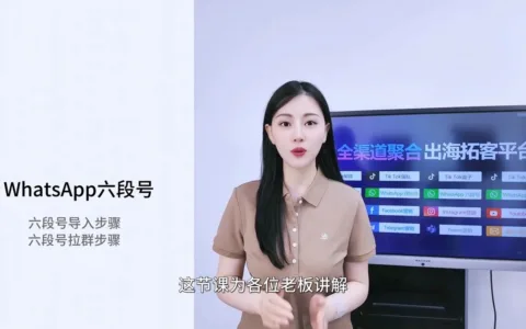 WhatsApp六段号营销：利用六段号资源构建WhatsApp私域流量，提升转化率