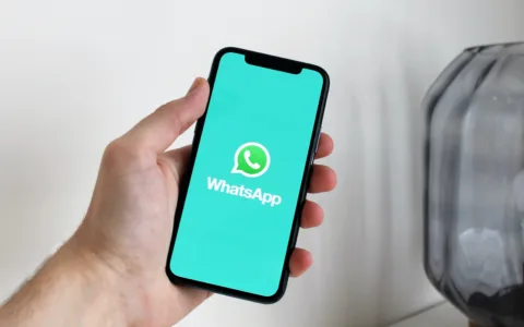 外贸whatsapp如何找客户？【详细】外贸必备